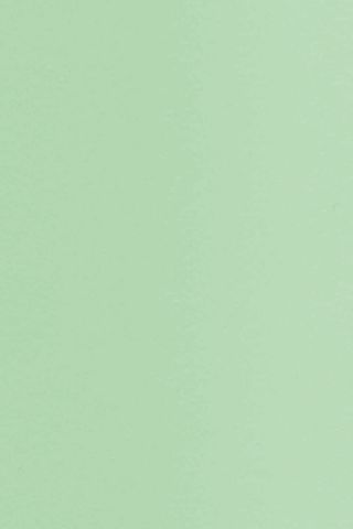 Стеновые, декоративные Декоративная стеновая панель Мультиплит Зеленый RAL 6019
